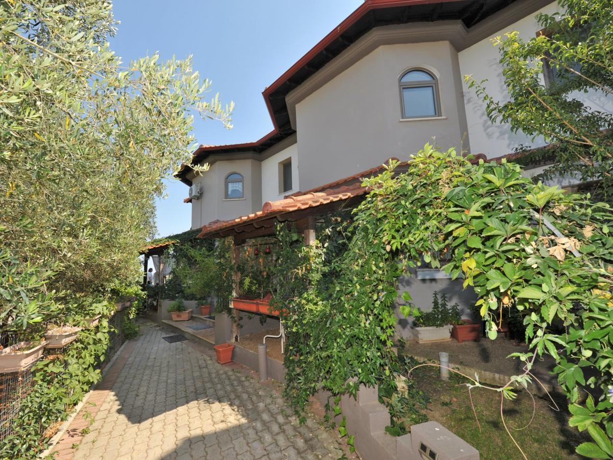 Alice Wonderland Home Nea Flogita Halkidiki Dış mekan fotoğraf